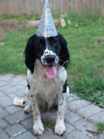 B-Day